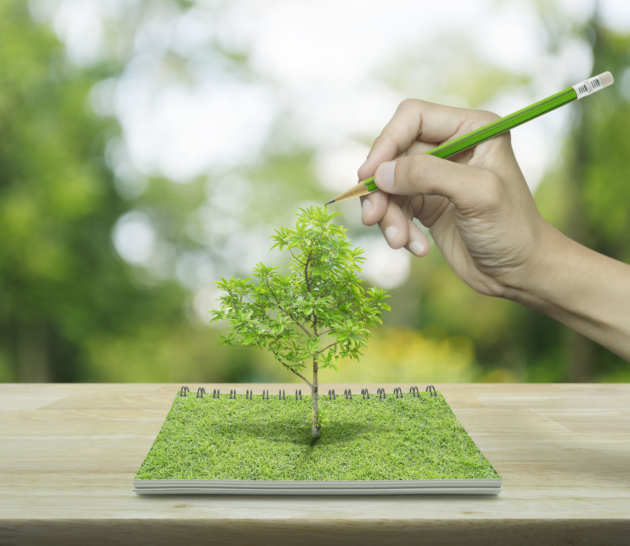 Inregistrare operatori economici care nu se supun autorizarii